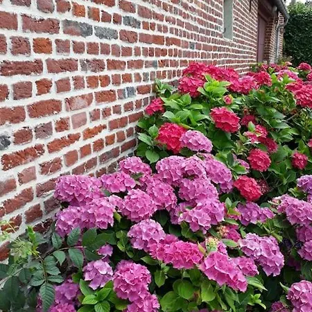 Casa de Férias Cosy 20 Min De Lille 6 Personnes